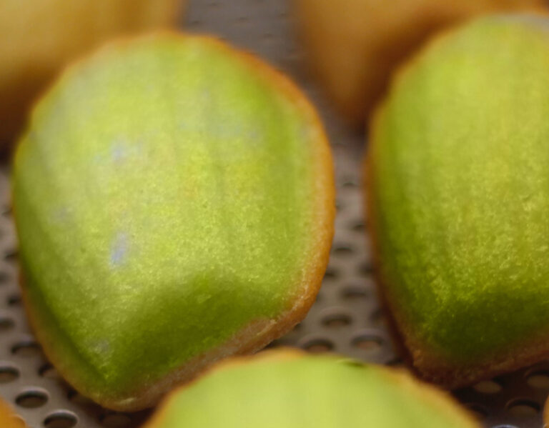 Madeleines au Thé Matcha